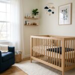 17 Nursery Ideas Boy for Every Budget